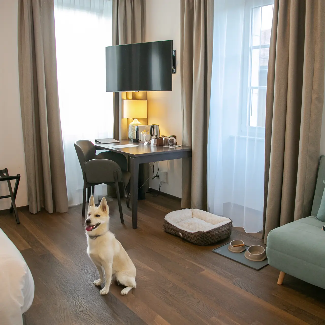 chien chambre bienvenus Croix-Blanche Gingins chien chambre bienvenus Croix-Blanche Gingins