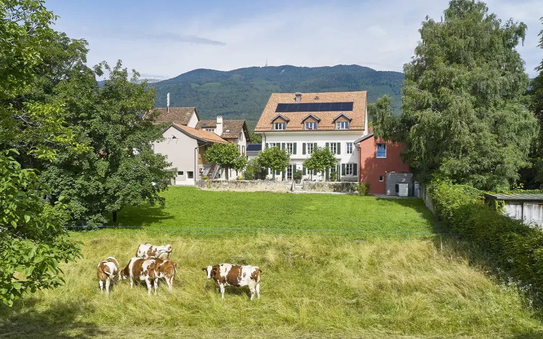 6 raisons choisir hôtel campagne Gingins Auberge Croix-Blanche