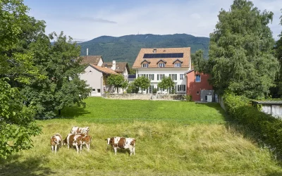 6 bonnes raisons de choisir un hôtel à Gingins plutôt qu’à Nyon, Genève ou Lausanne