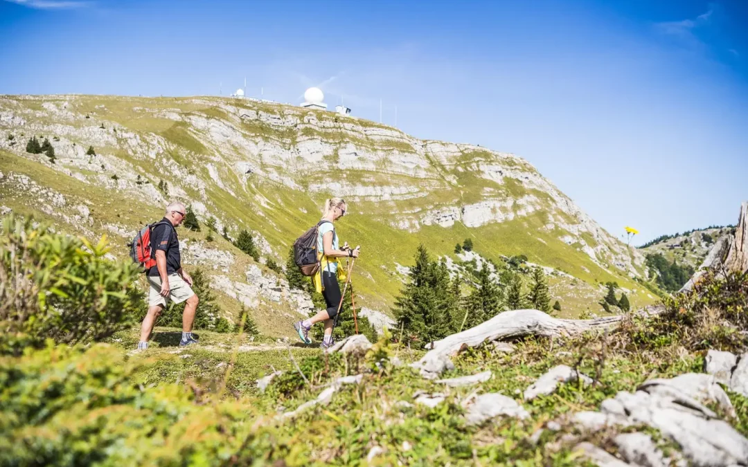 randonnées a faire jura vaudois gingins auberge croix blanche