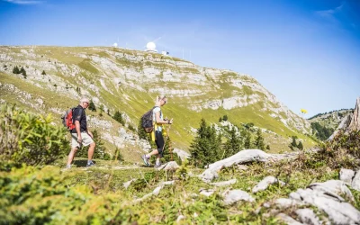 Les plus belles randonnées autour de Gingins entre Jura et Léman